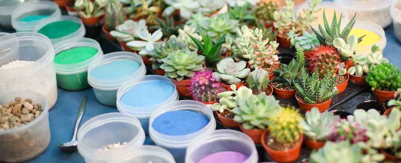 Learn more about plants through Botanical Class at Mahindra Holidays